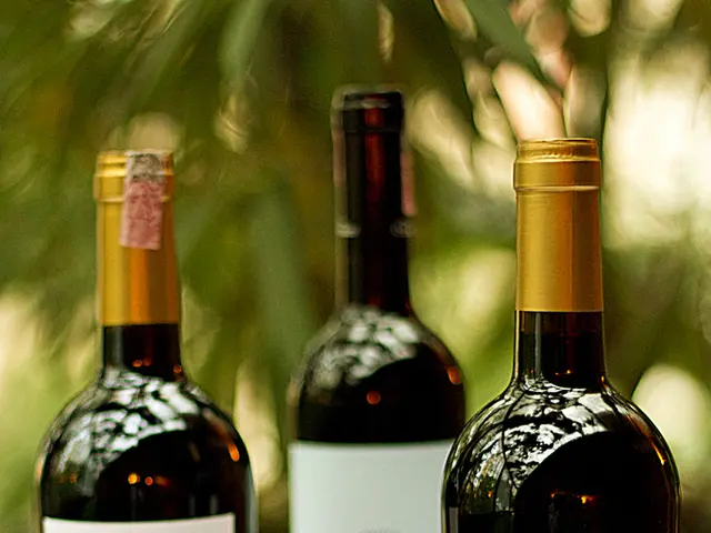 EU life sciences strategy unveiled by European Commission for action