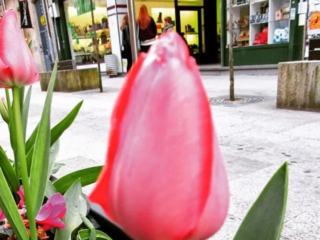 Delaware Opens Recreational Marijuana Market: Customers Flock to Buy for a High Shopping Experience