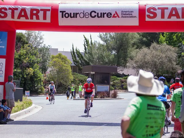 Various Support Services Accessible for Seniors