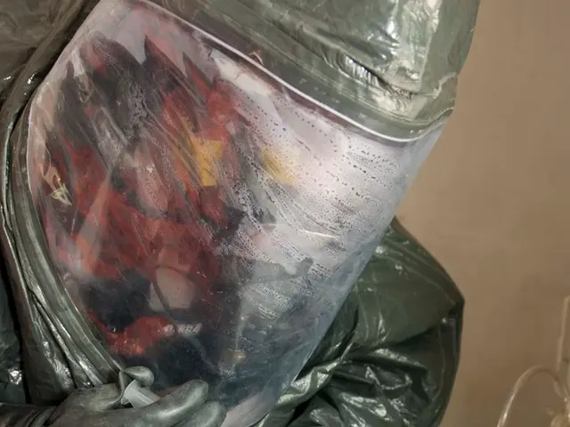 Accuracy of Forehead Thermometers: Breakdown and Comparison Among Different Models