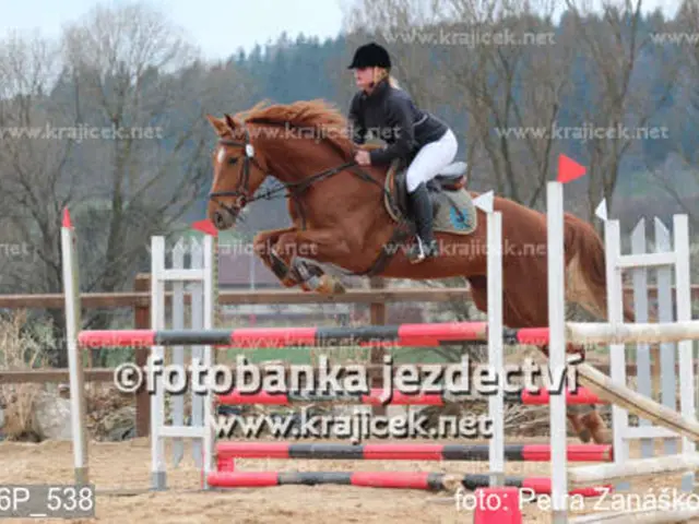 Young Women and Ovarian Cancer: Causes and Remedies