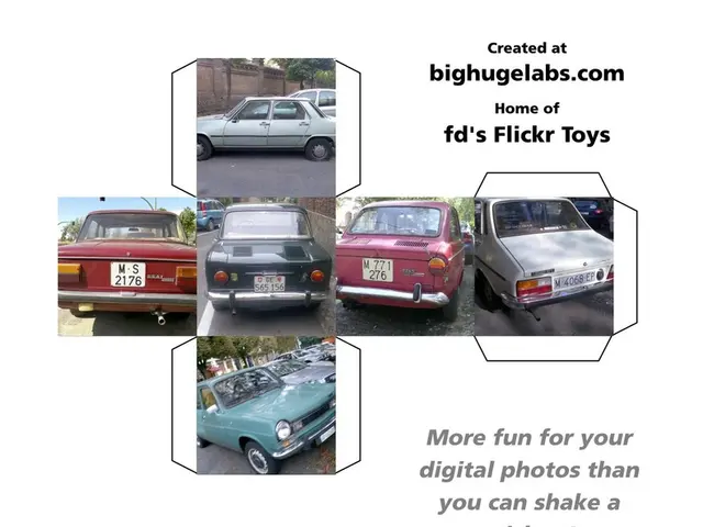 Car Accident Victims: Essential Information You Should Understand