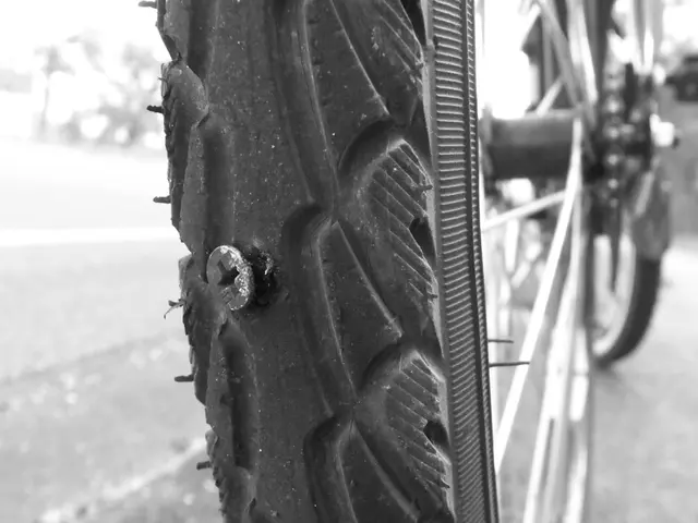 Genetic alterations in non-small cell lung cancer: Classifications, risk factors, and Beyond