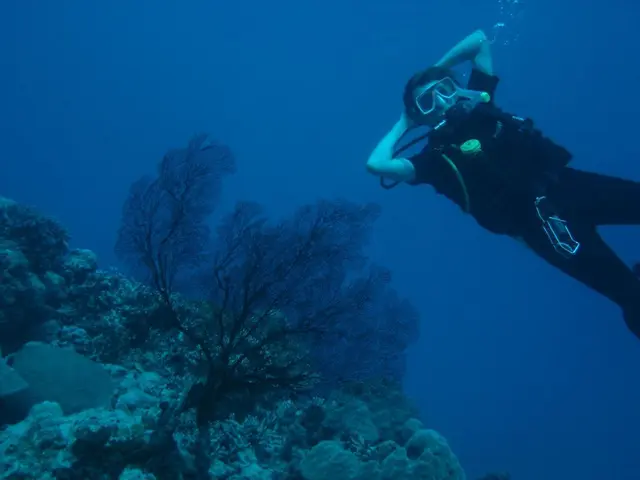 Researchers Reveal Alarming Facts at the Lowest Depth of the Mediterranean Abyss