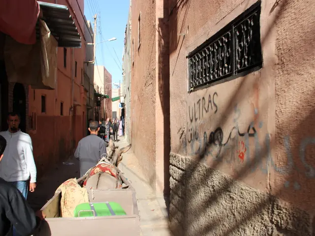 Insufficient aerial deliveries exacerbate Gaza's humanitarian predicament