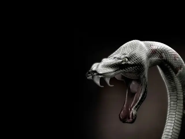 Potential Risk or Innocuous?