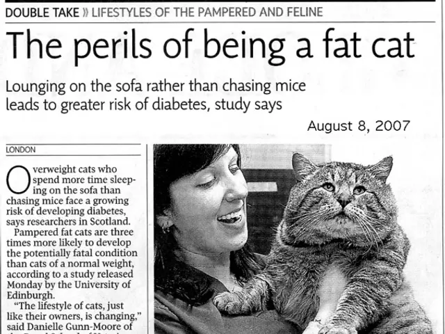 Information on handling domestic violence in Germany