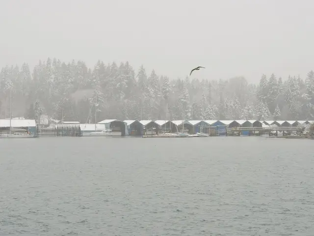 Wild birds in Costa da Caparica test positive for avian flu virus
