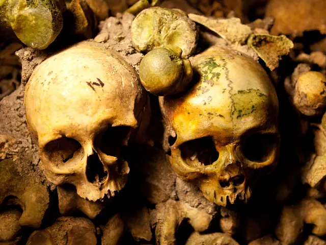 Police announce troubling development in murder case involving a reality TV personality, accused of...