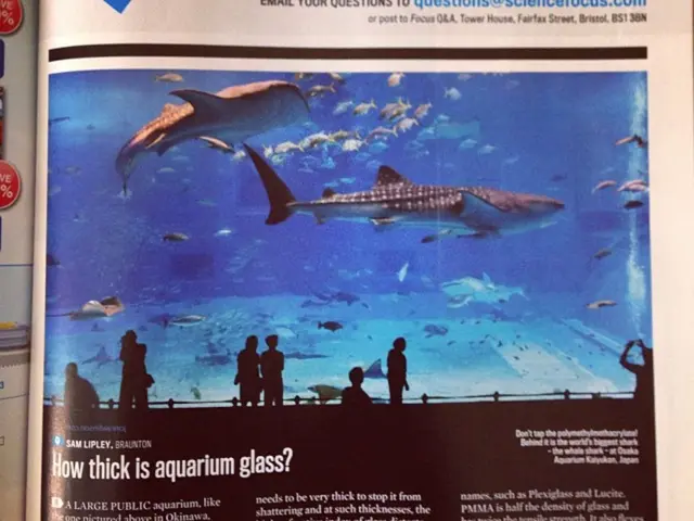 Life Sciences Corporation teams up with Frenova, a Fresenius Medical Care division, and...