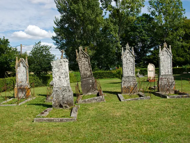 Altering Daily Routines: How the Sun's Care Influences the Time and Stress Levels of Family Members