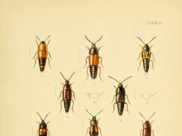 Radioactive wasp colonies discovered at a nuclear facility in South Carolina by workers.