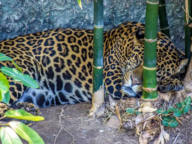 Encountering the Most Resilient Life Form Ever Unveiled