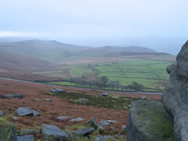 Yucatan Gathers Discussion on Tech-Based Solutions for Sargassum Issue