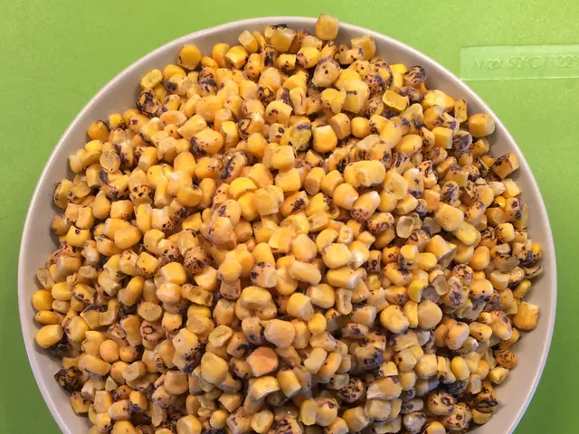 Expansion of Quinoa Seed Market Projected at a 7.8% Compound Annual Growth Rate through 2034