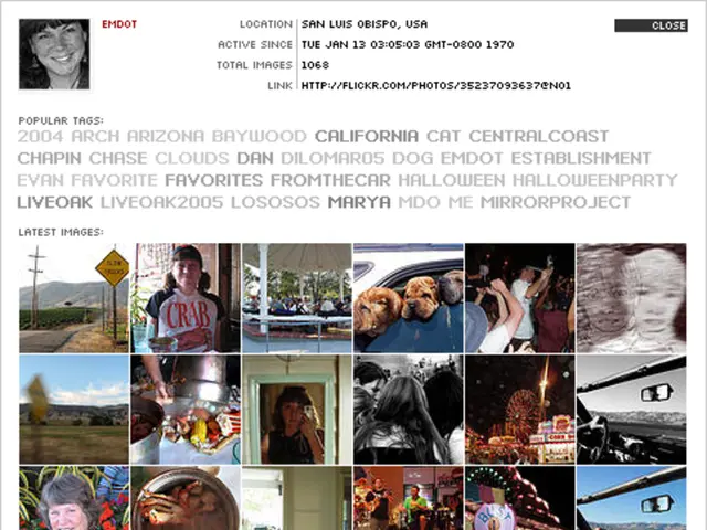 Human Memory Features and their Significance in Data Representation