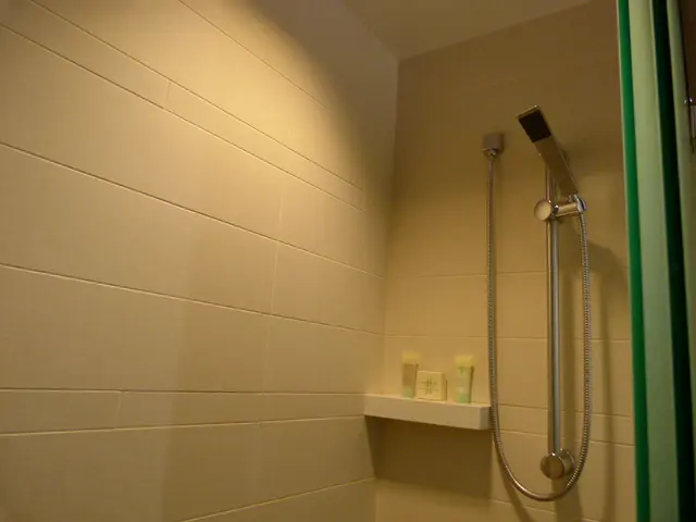 Interpreting the Significance of Dream Imagery