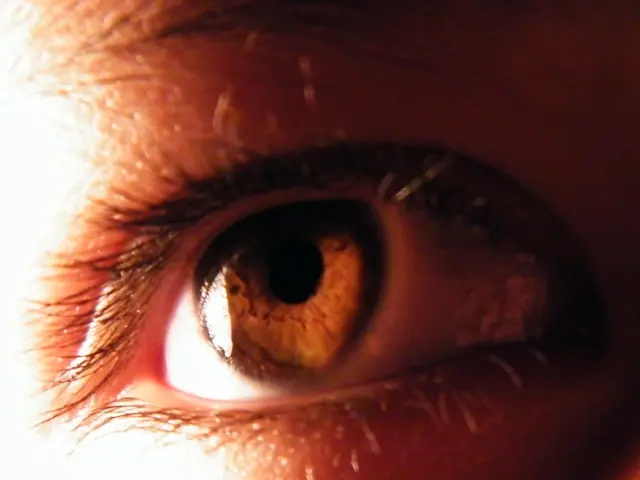 Tired Eyes: Causes, Ways to Prevent, and Treatment Options