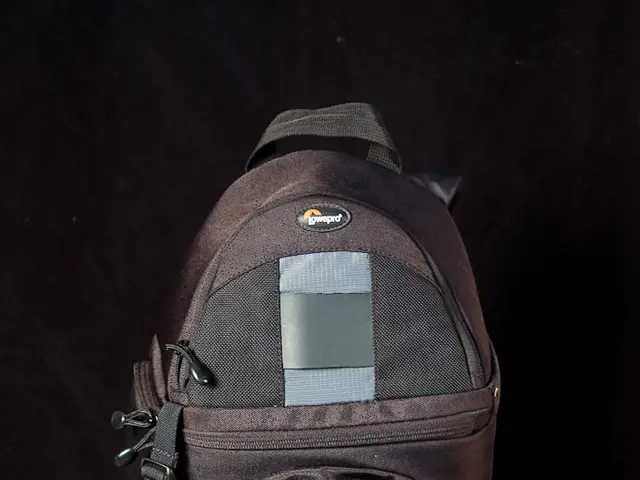 Is the paneer purchased from a store a potential health risk for consumption?