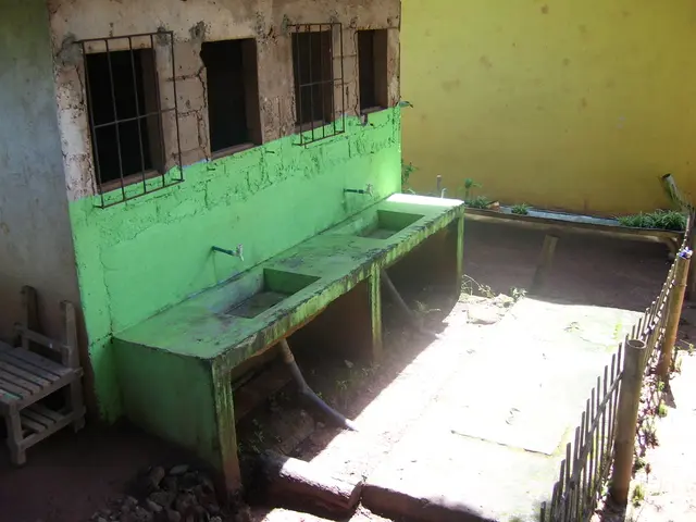 Appendicitis Explained: An Overview of the Swollen Appendage Condition