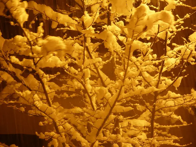 Eczema with dry, scaly skin: Signs, triggers, and remedies