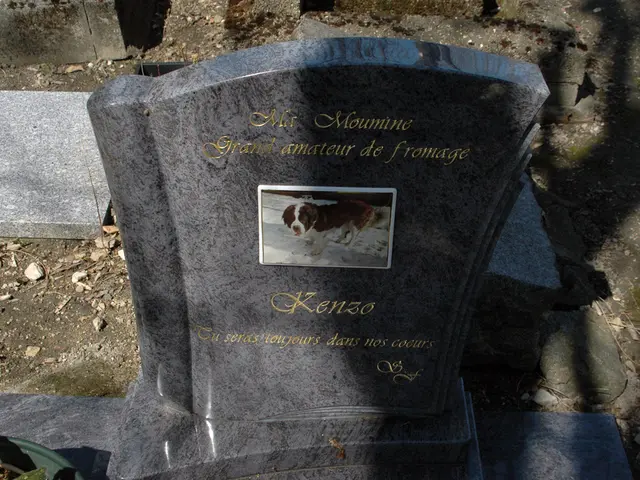 A woman awakened from her coma shares her experiences about the afterlife.