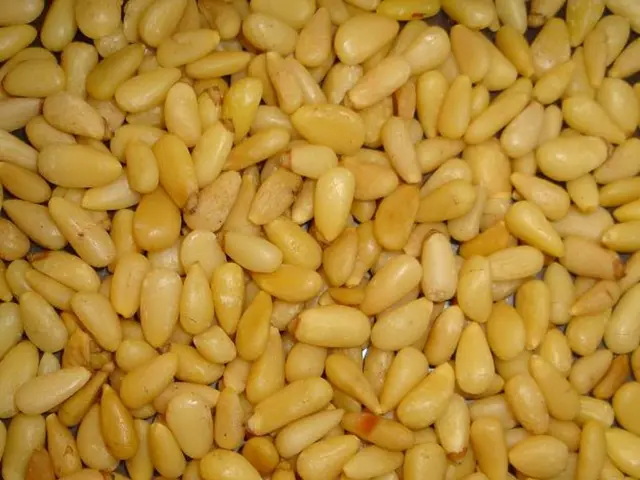 Kesimpta cost in 2025: Discounts and further offers available