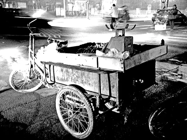 Elderly Transportation Service Expands: Rickshaws Now Permitted in Pedestrian Zones