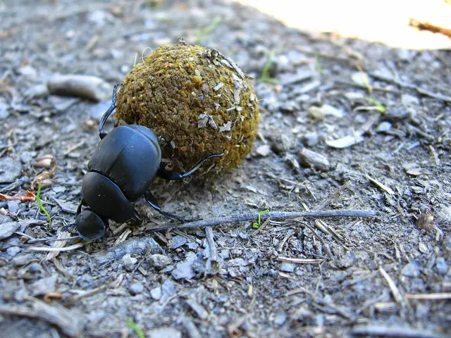 Holding these 3 positions after age 45 marks a core of elite strength and endurance.