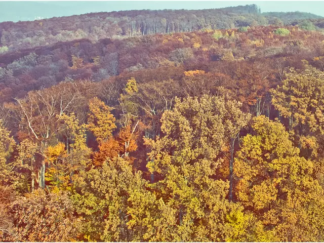 Exploring Nature's Healing Potential: Toyota's Ambition to Uncover Key Insights