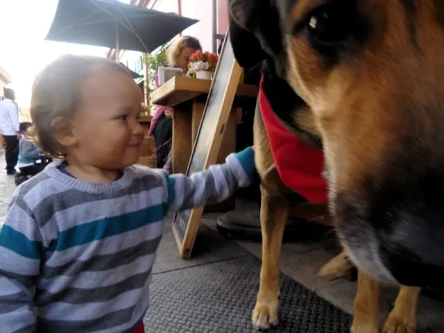 Hospital Discharges Sochi Boy from Its Care