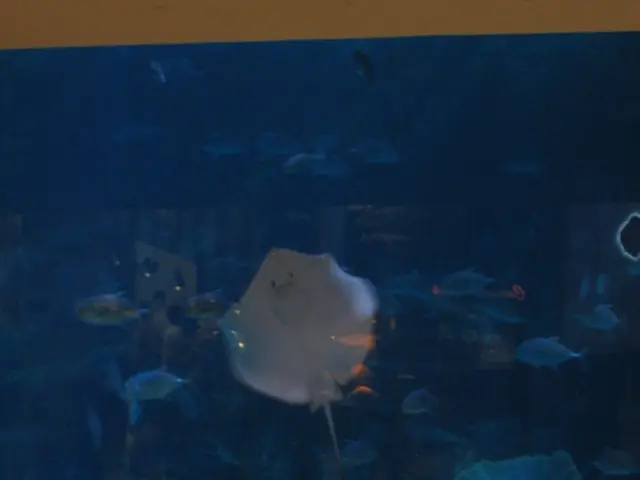 Eradicate Harmful Algae - Kick Out Red Algae Using Proper Equipment!