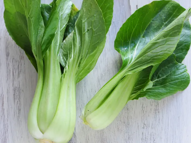 Dietary Showdown: Starchy vs Non-Starchy Veggies - Breakdown of Food Types and Nutrition