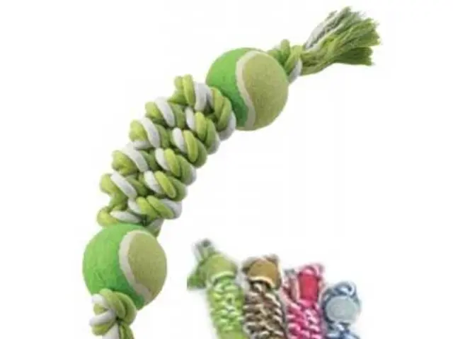 Testicular Transplants: Exploration of Procedures, Legalities, and Additional Information