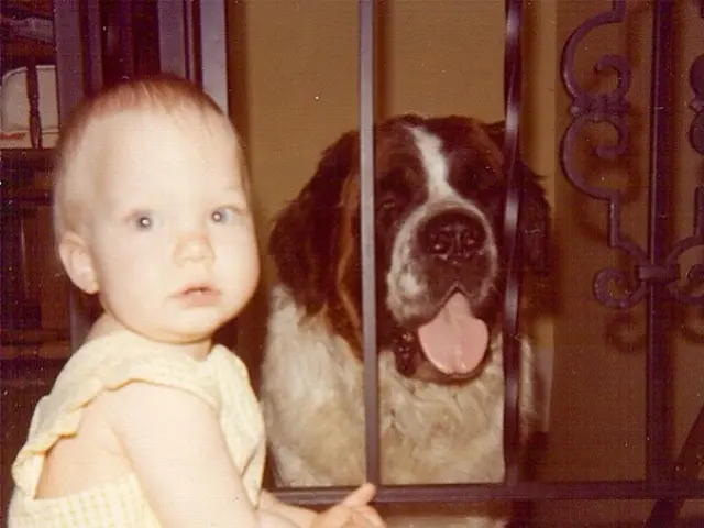 Park temperatures soaring: Keep kids and pets out of hot cars