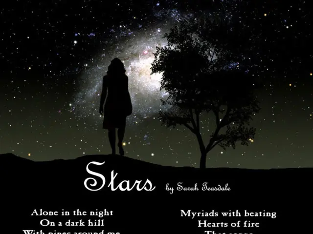 There is a poem written on the image. In the back there is a woman, tree and sky with stars and...