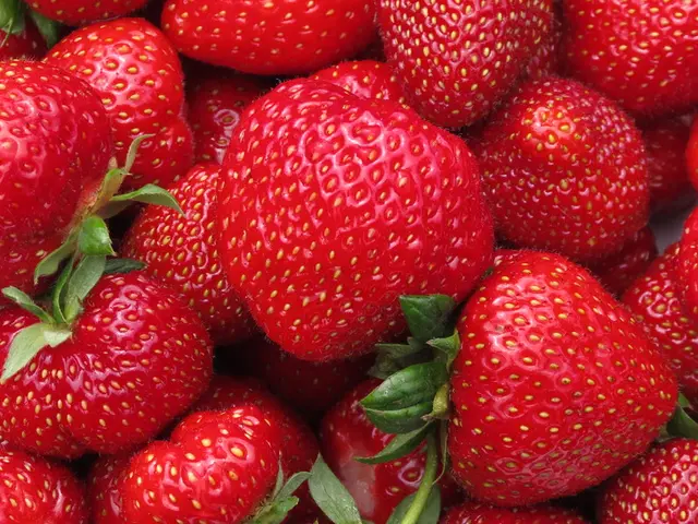 In this image I can see number of red colour strawberries.