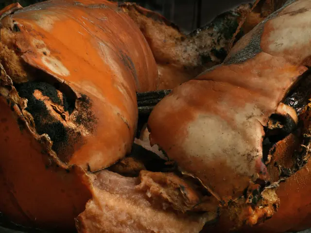 In this image in the center there is some meat, and at the bottom there is a table.